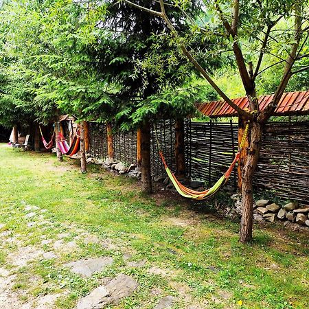 Cabana Frasin Dragoslavele Buitenkant foto