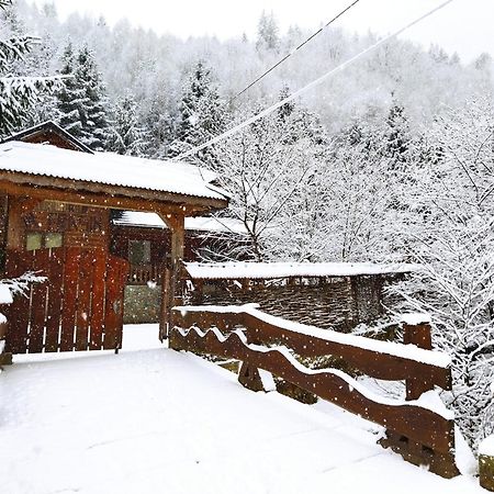 Cabana Frasin Dragoslavele Buitenkant foto