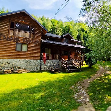 Cabana Frasin Dragoslavele Buitenkant foto