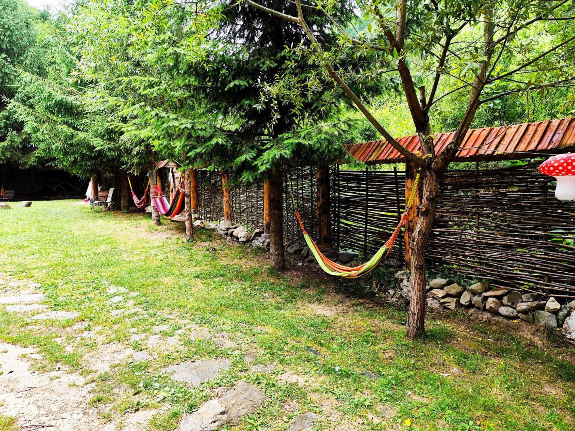 Cabana Frasin Dragoslavele Buitenkant foto