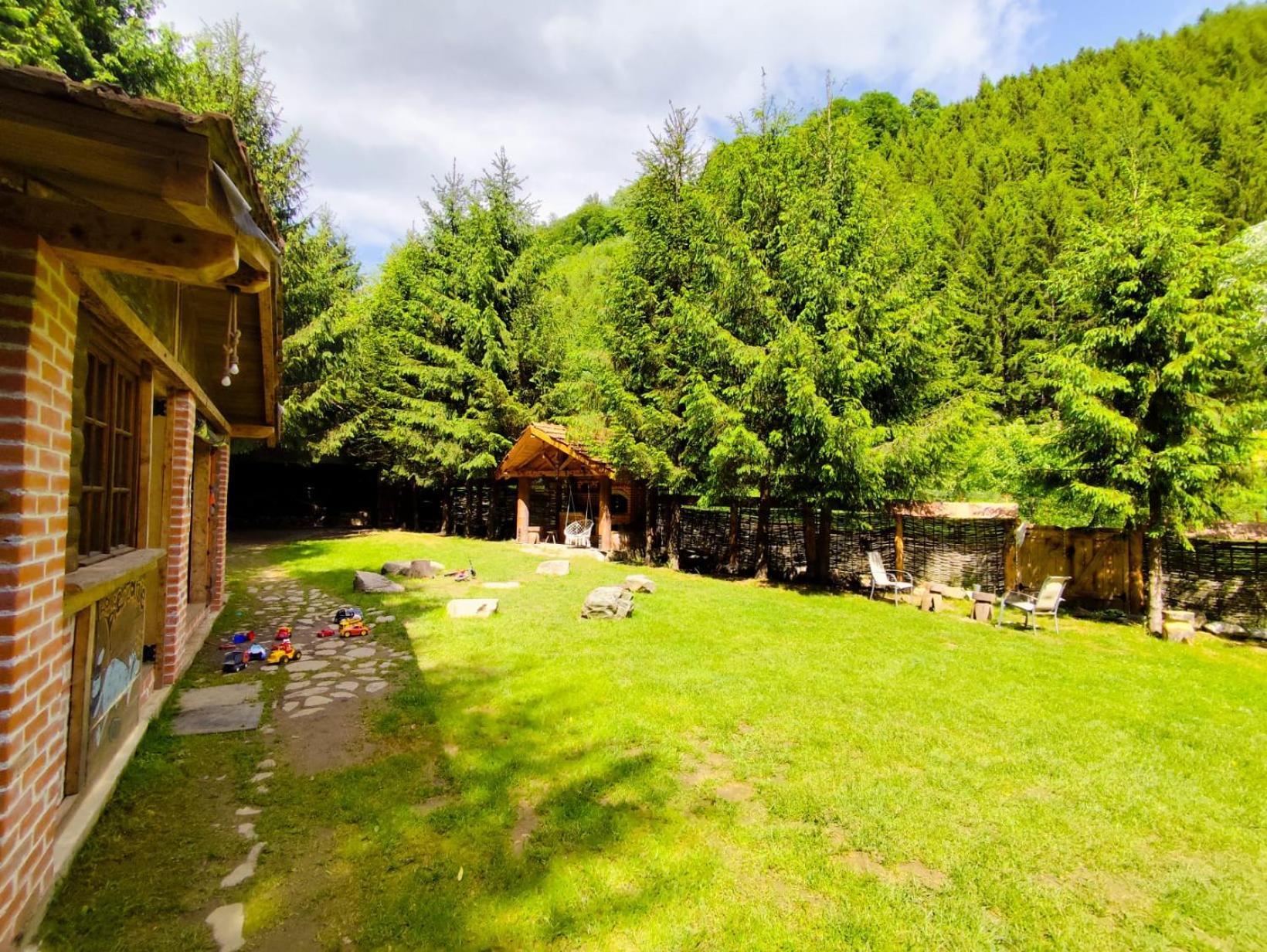 Cabana Frasin Dragoslavele Buitenkant foto