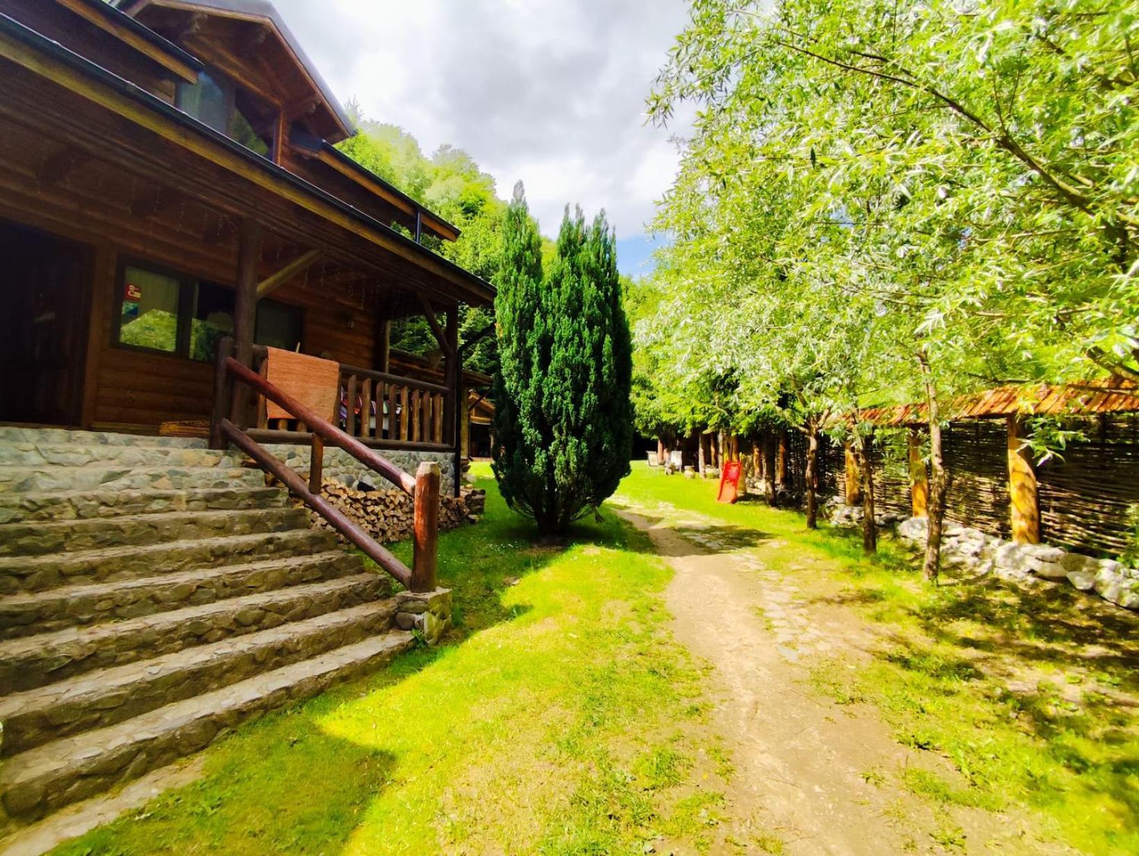 Cabana Frasin Dragoslavele Buitenkant foto