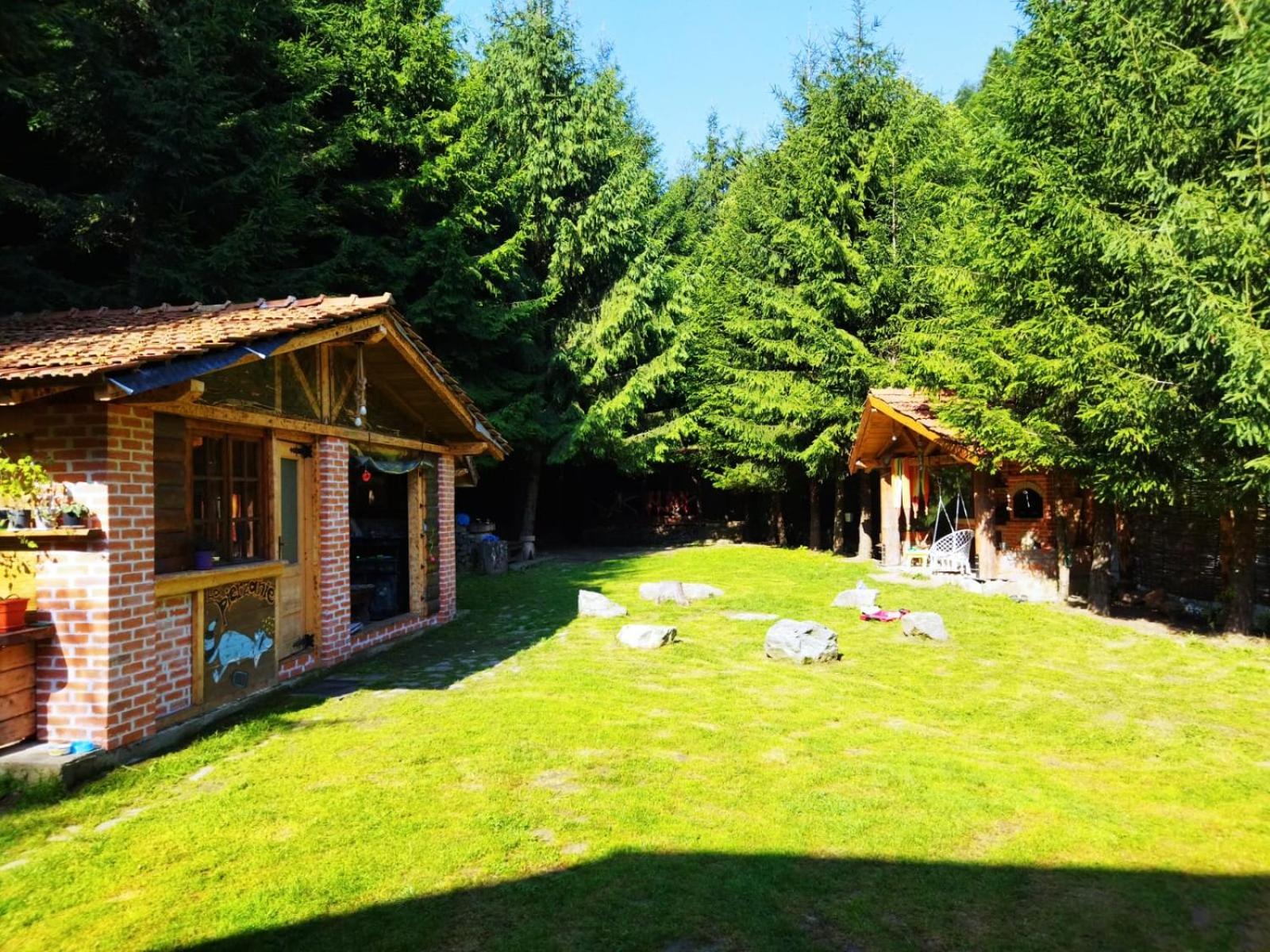 Cabana Frasin Dragoslavele Buitenkant foto